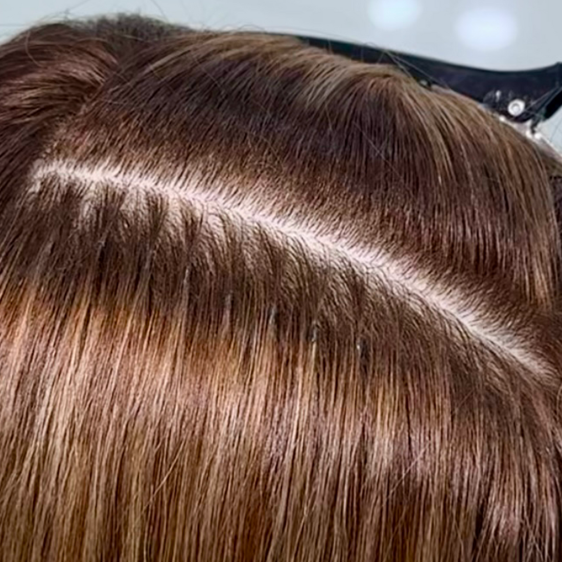 Primer plano de microcápsulas de queratina colocadas en la raíz del cabello, técnica de extensiones de Makarova Hair Studio
